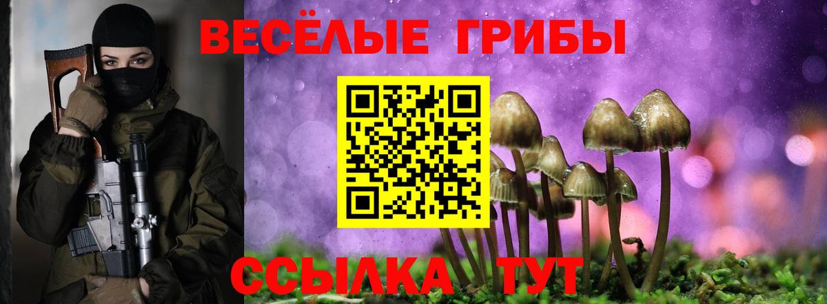 Псилоцибиновые грибы мицелий  Вход с VPN  Славгород 